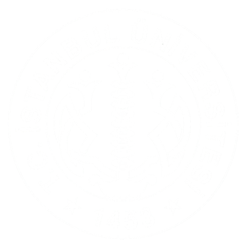 İstanbul Üniversitesi